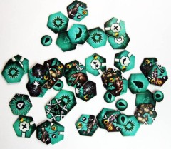 sharrash photo 2.jpg