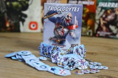 Troglodytes photo 3.jpg