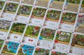 EotN Roman Banners photo 4.jpg