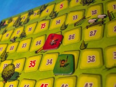 Imperial Settlers photo 2.jpg