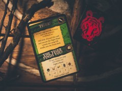 Robinson Crusoe photo 2.jpg